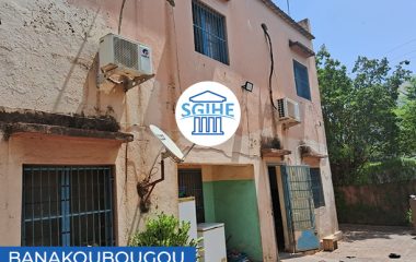 Banakoubougou TF N°21543