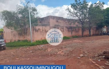 Boulkassoumbougou TF 007