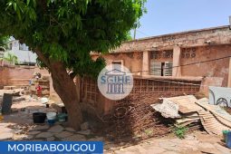Moribabougou TF 79748